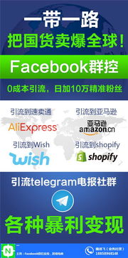 Facebook群控軟件 技術(shù)研發(fā)、應(yīng)用場景與價格解析