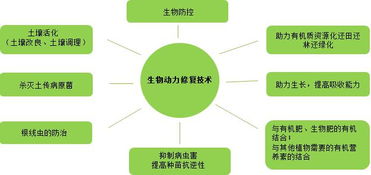 復(fù)振科技 從醫(yī)藥跨界環(huán)保的“野蠻人”，如何在環(huán)境科技領(lǐng)域開疆拓土？